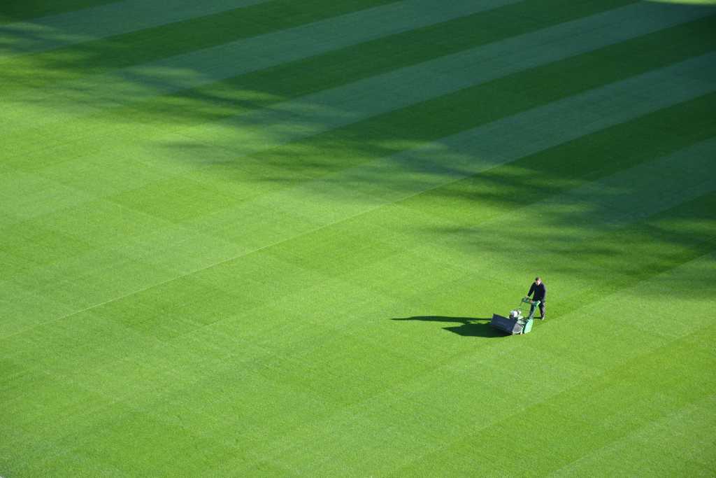 Man using lawnmower to cut golf course lawn taken from a distance